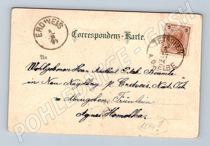 Pohlednice Děčín pohled na město a zámek 1894 (P4241)