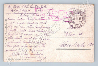 Pohlednice Rakousko kachny v potoce 1917 (P4260)