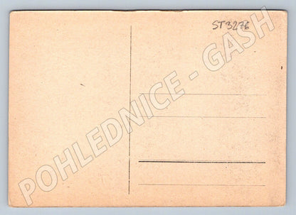 Postcard political speech period black and white (ST3276)