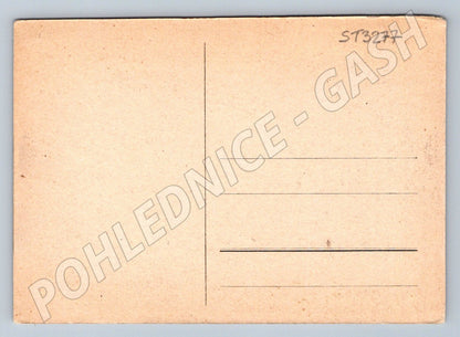 Postcard President and Gen. Liška, Armored Brigade Parade (ST3277)