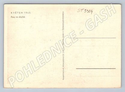 Postcard Czechoslovakia May 1945 memorial act small format (ST3304)