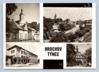 Postcard hippopotamus black and white small format until 1950 (ST3338)