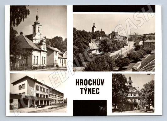 Postcard hippopotamus black and white small format until 1950 (ST3338)