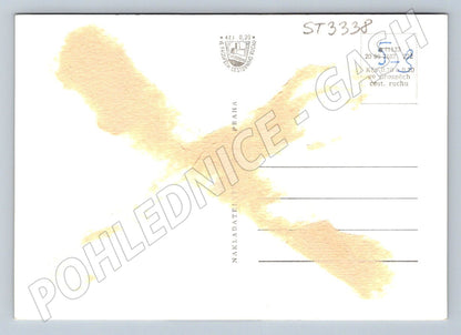 Postcard hippopotamus black and white small format until 1950 (ST3338)