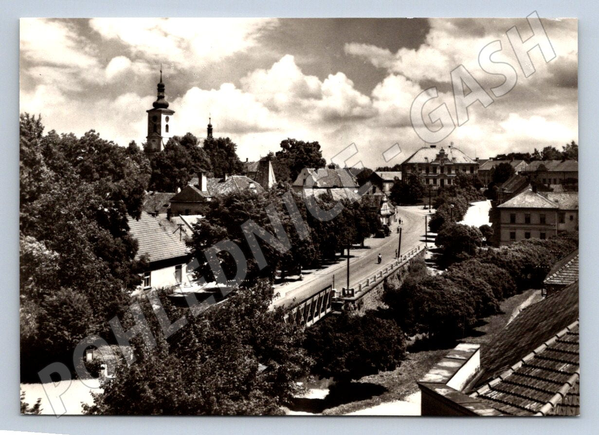 Postcard Hippopotamus Týnec black and white historical until 1950 (ST3340)