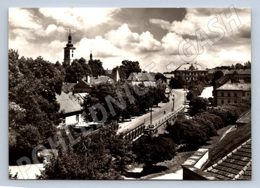 Postcard Hippopotamus Týnec black and white historical until 1950 (ST3340)