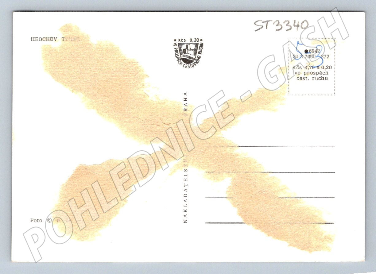 Postcard Hippopotamus Týnec black and white historical until 1950 (ST3340)