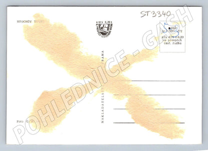 Postcard Hippopotamus Týnec black and white historical until 1950 (ST3340)