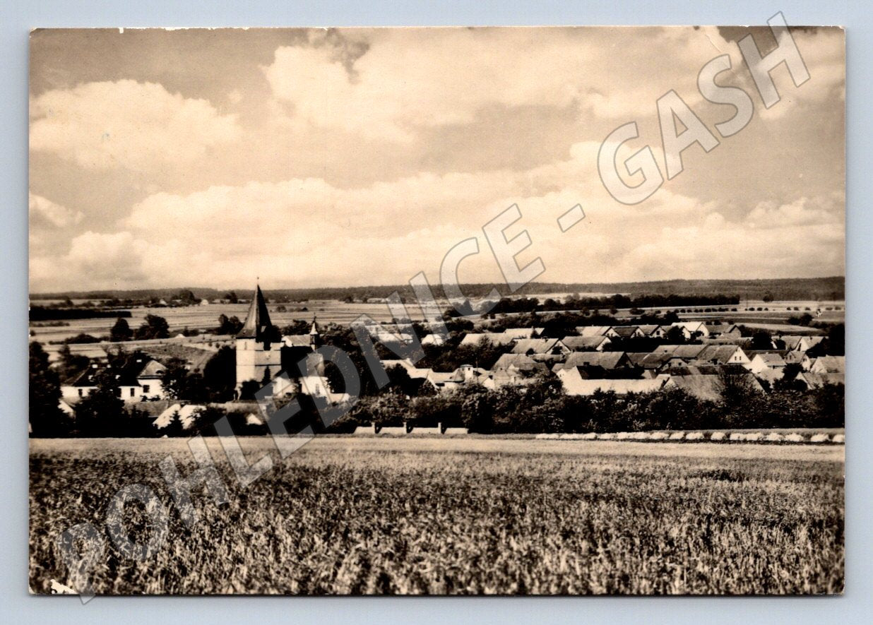 Postcard Czech chamomile black and white village until 1950 (ST3347)