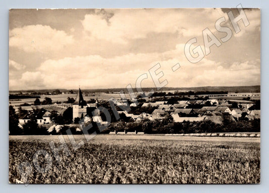 Postcard Czech chamomile black and white village until 1950 (ST3347)