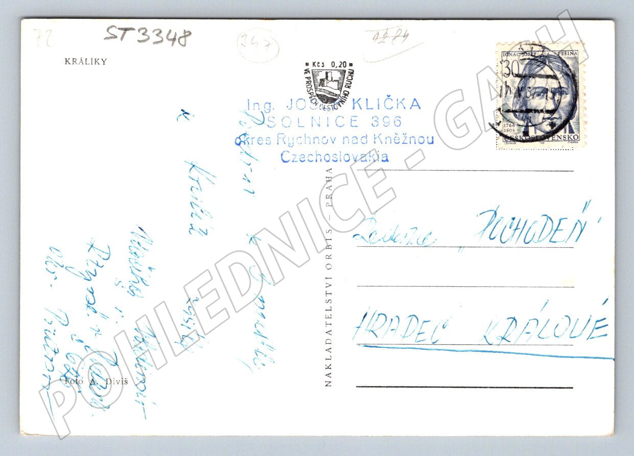 Postcard rabbits old view of a Czech city (ST3348)