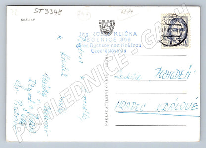 Postcard rabbits old view of a Czech city (ST3348)