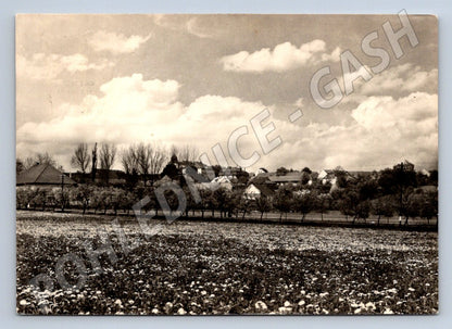 Postcard Hornovalda white black and white from Czechoslovakia (ST3352)