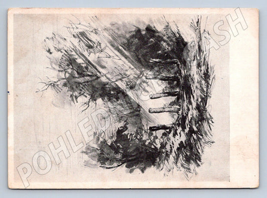 Postcard ethnographic rural scene black and white (ST3353)