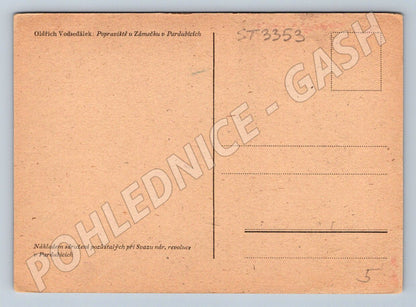 Postcard ethnographic rural scene black and white (ST3353)