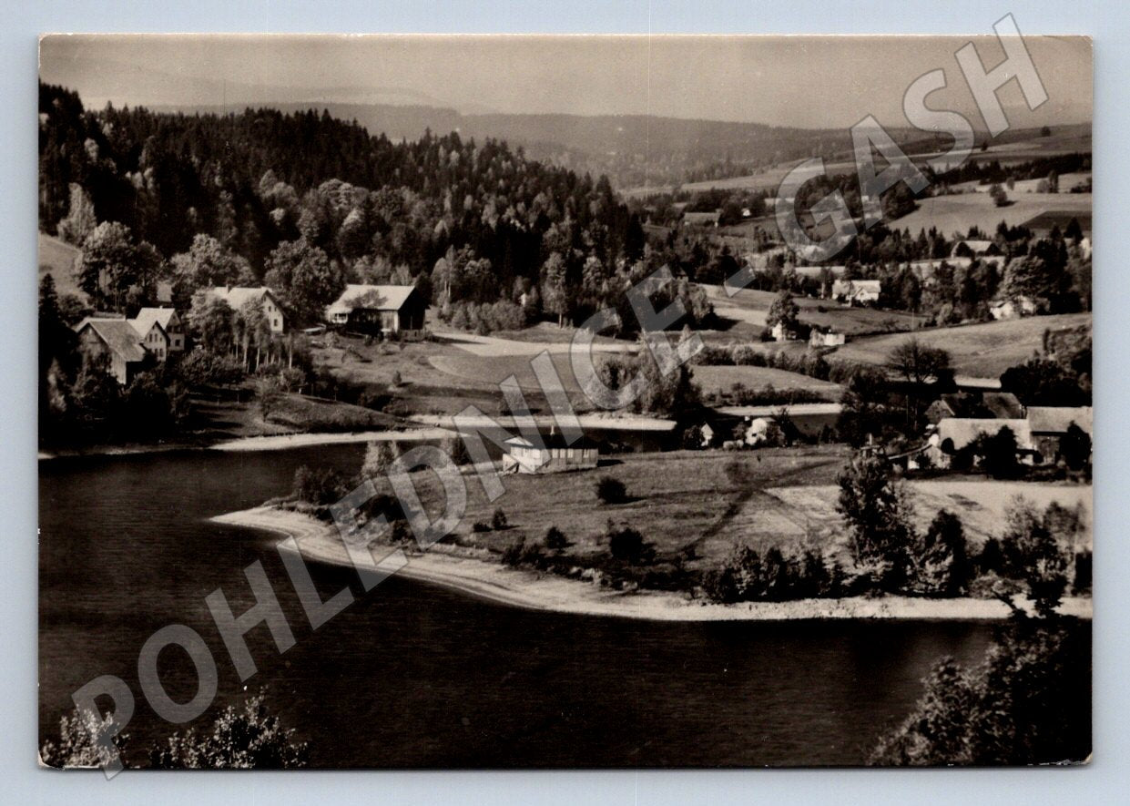 Postcard old view of pasture near Žamberk black and white until 1950 (ST3370)
