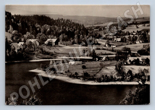 Postcard old view of pasture near Žamberk black and white until 1950 (ST3370)