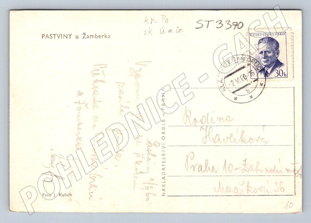 Postcard old view of pasture near Žamberk black and white until 1950 (ST3370)