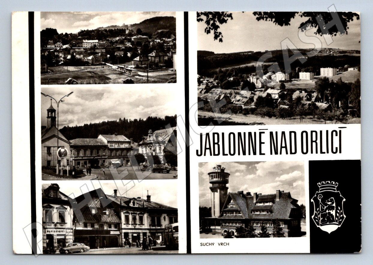 Postcard apple tree above eagle, older black and white (ST3407)