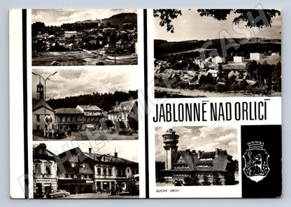 Postcard apple tree above eagle, older black and white (ST3407)