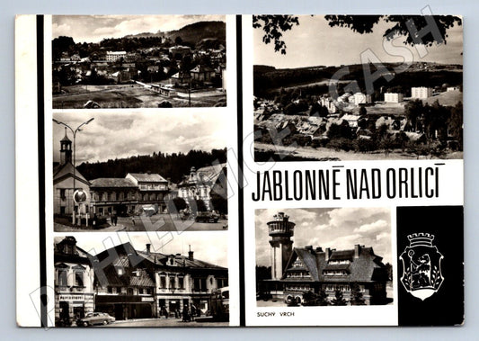 Postcard apple tree above eagle, older black and white (ST3407)