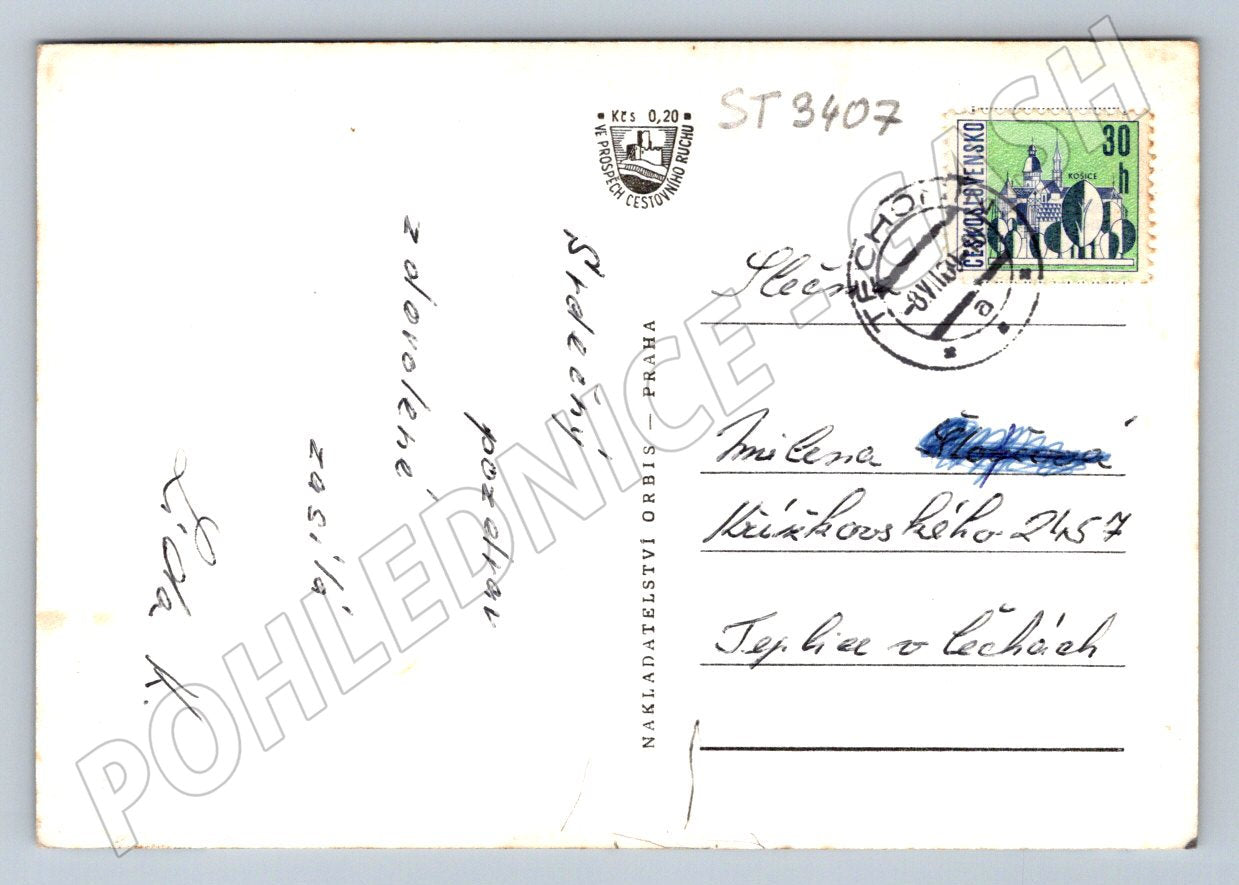 Postcard apple tree above eagle, older black and white (ST3407)