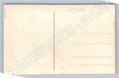 Ethnographic postcard with traditional costumes and flowers (ST3427)