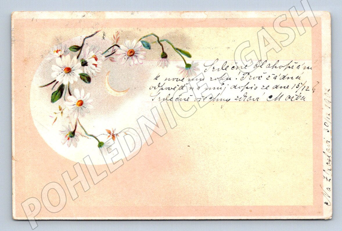 Postcard Czechoslovakia 1902 floral motif alt paka (ST3448)