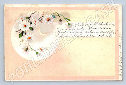 Postcard Czechoslovakia 1902 floral motif alt paka (ST3448)