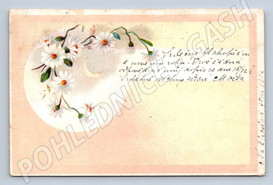 Postcard Czechoslovakia 1902 floral motif alt paka (ST3448)