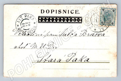 Postcard Czechoslovakia 1902 floral motif alt paka (ST3448)