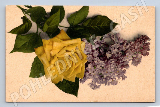 Postcard with floral motif and greeting card until 1950 (ST3449)
