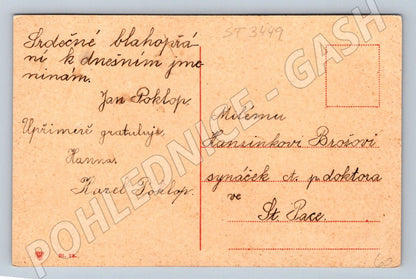 Postcard with floral motif and greeting card until 1950 (ST3449)
