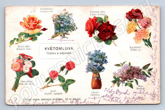 Postcard Czech language of flowers, small format until 1950 (ST3450)