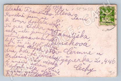 Postcard Czech language of flowers, small format until 1950 (ST3450)