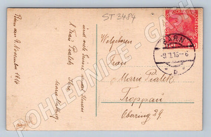 Postcard 1916 children birthday Austria Hungary small format (ST3484)