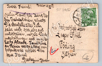 Postcard colored portrait of a young woman Austria-Hungary (ST3486)