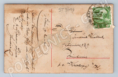 Postcard Austria Hungary girl with flowers small format (ST3494)