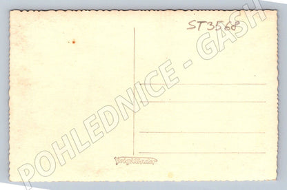 Postcard old rural farm Czech Republic MF until 1950 (ST3568)