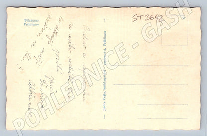 Pelhřimov historical postcard (ST3642)