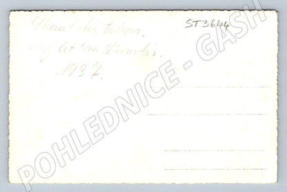 Postcard Sturec road with serpentine car (ST3644)