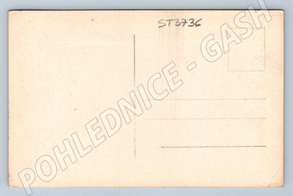 Postcard Zlín castle historical (ST3736)