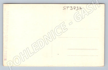 Postcard Vranov Castle photo A Kenig Fráni (ST3737)