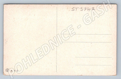 Postcard Jindřichův Hradec castle historical (ST3747)