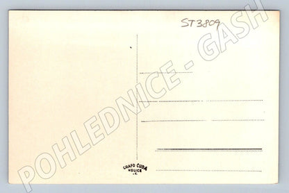 Postcard Bohemian Paradise collage of monuments and nature (ST3809)