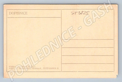 Postcard Tábor Lužnice historical (ST3825)