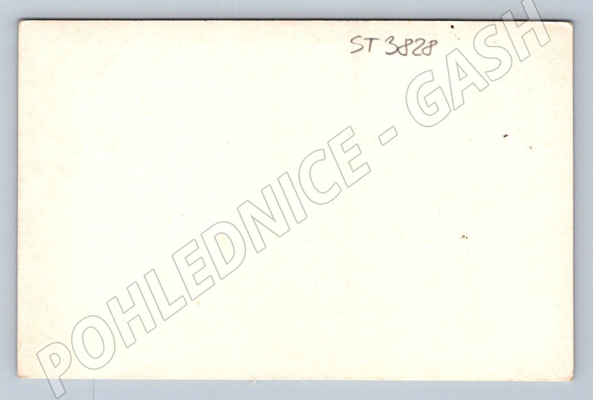 Postcard Český Krumlov castle panorama (ST3828)