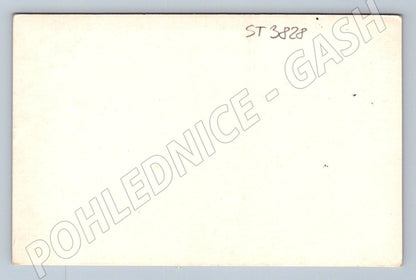 Postcard Český Krumlov castle panorama (ST3828)