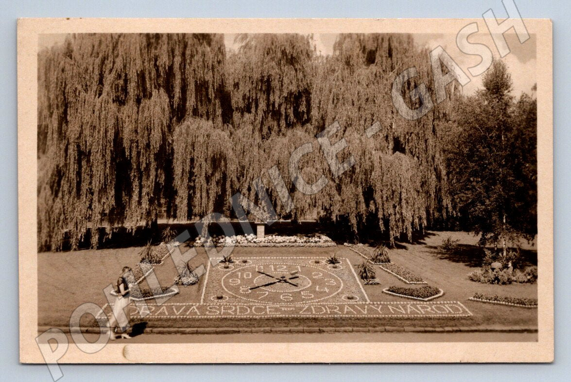 Postcard Poděbrady Flower Clock (ST3832)
