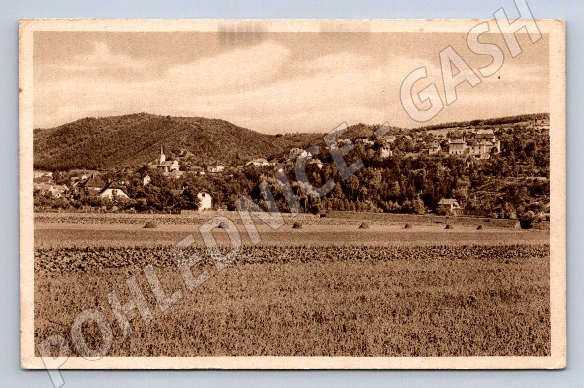 Postcard Horní Mokropsy photographer Child (ST3841)